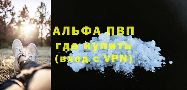 стаф Арсеньев