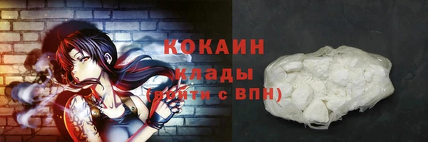 стаф Арсеньев