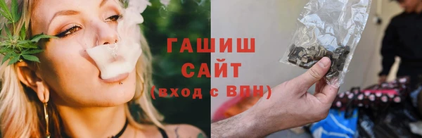стаф Арсеньев