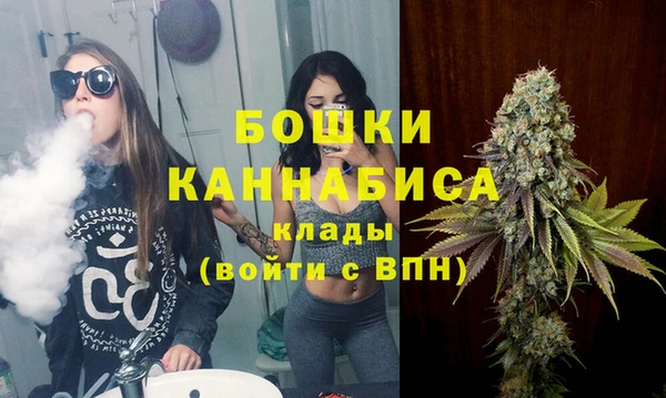 стаф Арсеньев