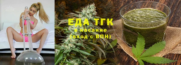 стаф Арсеньев
