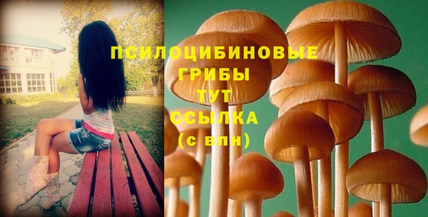 стаф Арсеньев